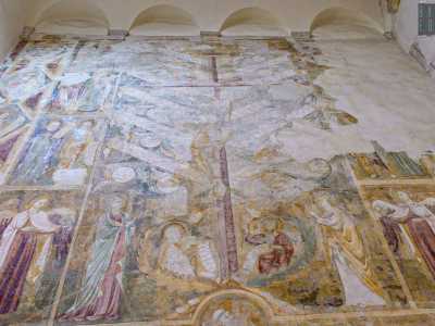 E infine la terza parete, che si rivela la pi� ricca di particolari, nonostante buona parte degli stucchi sia andata perduta. Si tratta del Lignum vitae (Albero della vita): tema iconografico diffuso tra il XIII e XIV secolo ispirato alla tradizione ebraico-cristiana